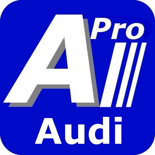 Diagnosis Audi